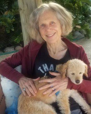  in Therapists located in Barre, Vermont.