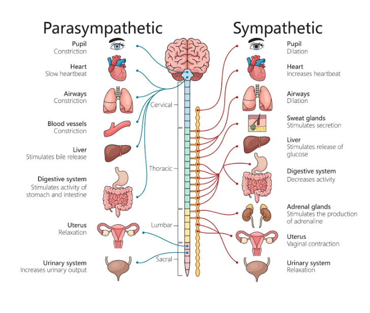 Screenshot 2026 03 05 111609